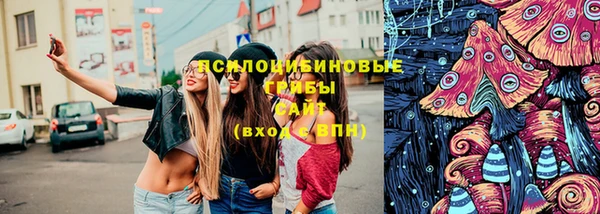 стафф Няндома